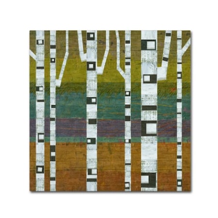 Michelle Calkins 'Birches 2.0' Canvas Art,14x14